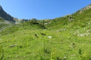 IMG_0120
