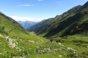 IMG_0122