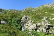 IMG_0126