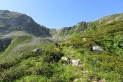 IMG_0129