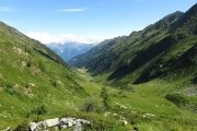 IMG_0130