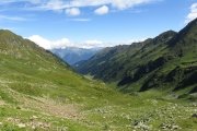 IMG_0135