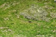 IMG_0140