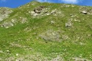 IMG_0141