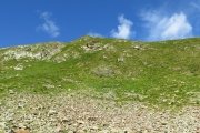 IMG_0143
