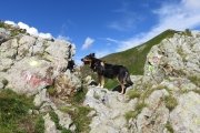 IMG_0146