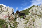IMG_0149