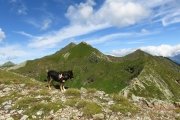 IMG_0177