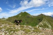 IMG_0178