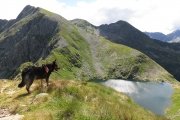 IMG_0188