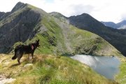 IMG_0191