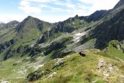 IMG_0197