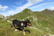 IMG_0201