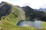 IMG_0207