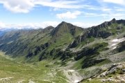 IMG_0213
