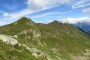 IMG_0217