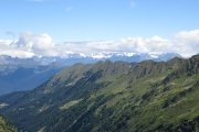 IMG_0219