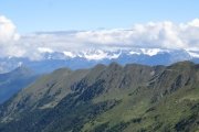 IMG_0223