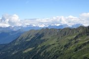 IMG_0224