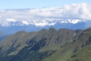 IMG_0225
