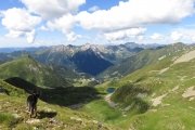 IMG_0241