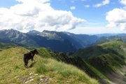 IMG_0243