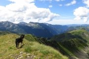 IMG_0244