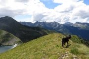 IMG_0246