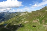 IMG_0254