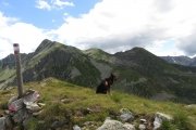 IMG_0294
