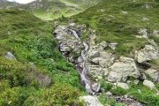 IMG_0319