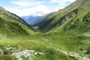 IMG_0324