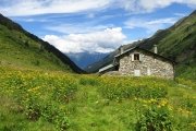 IMG_0328
