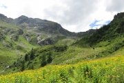 IMG_0329