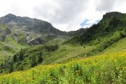 IMG_0331