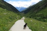 IMG_0333