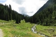 IMG_0335