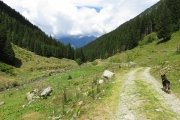 IMG_0338
