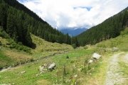 IMG_0339