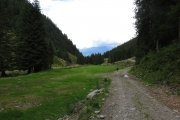 IMG_0342