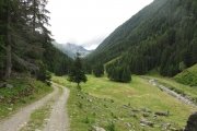IMG_0347