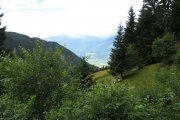 IMG_0351