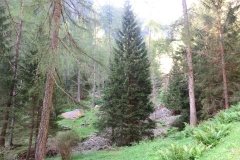 IMG_0001