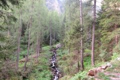 IMG_0005
