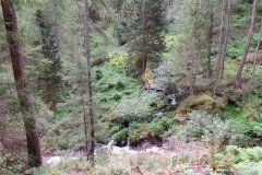 IMG_0008