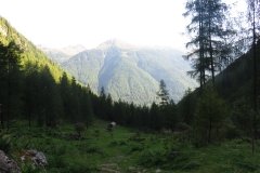 IMG_0028