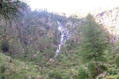 IMG_0035