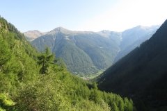 IMG_0045