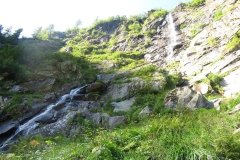 IMG_0050