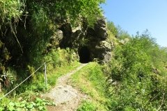 IMG_0060